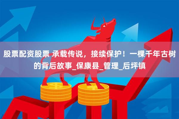 股票配资股票 承载传说，接续保护！一棵千年古树的背后故事_保康县_管理_后坪镇